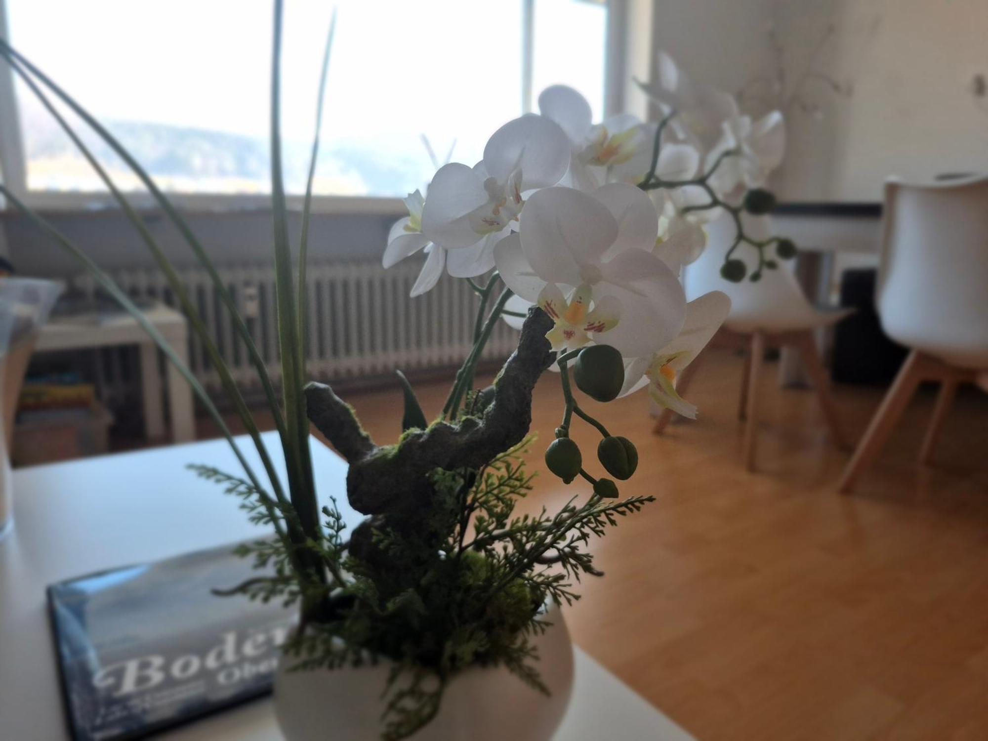 Seestudio Mit Toller Aussicht Am Bodensee Bodman-Ludwigshafen Εξωτερικό φωτογραφία